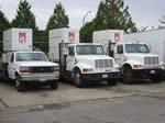 Vehicle Fleet Lettering