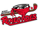 Sport team logo design
