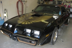 79 TransAM graphics package